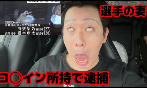 中草药铁皮石斛主治网 | 铁皮石斛中药材,铁皮石斛中药百度百科