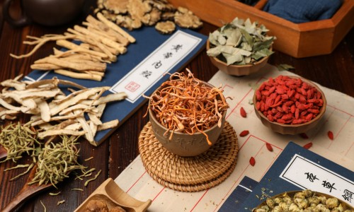 中草药铁皮石斛主治功效-中草药铁皮石斛主治网 | 铁皮石斛中药材,铁皮石斛中药百度百科