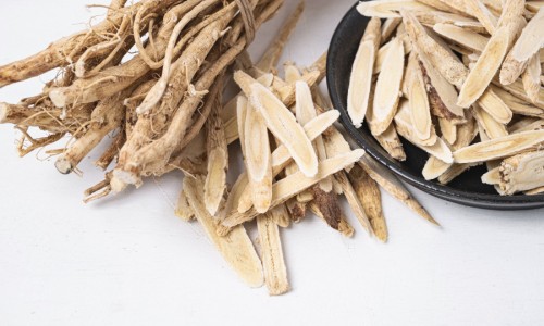 中草药铁皮石斛主治功效-中草药铁皮石斛主治网 | 铁皮石斛中药材,铁皮石斛中药百度百科